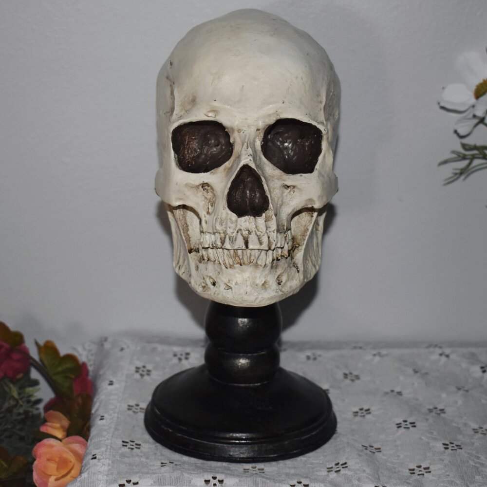 Resin Skull Pedestal Spooky Horror Gothic Fall Halloween Decor - Dark & Witchy